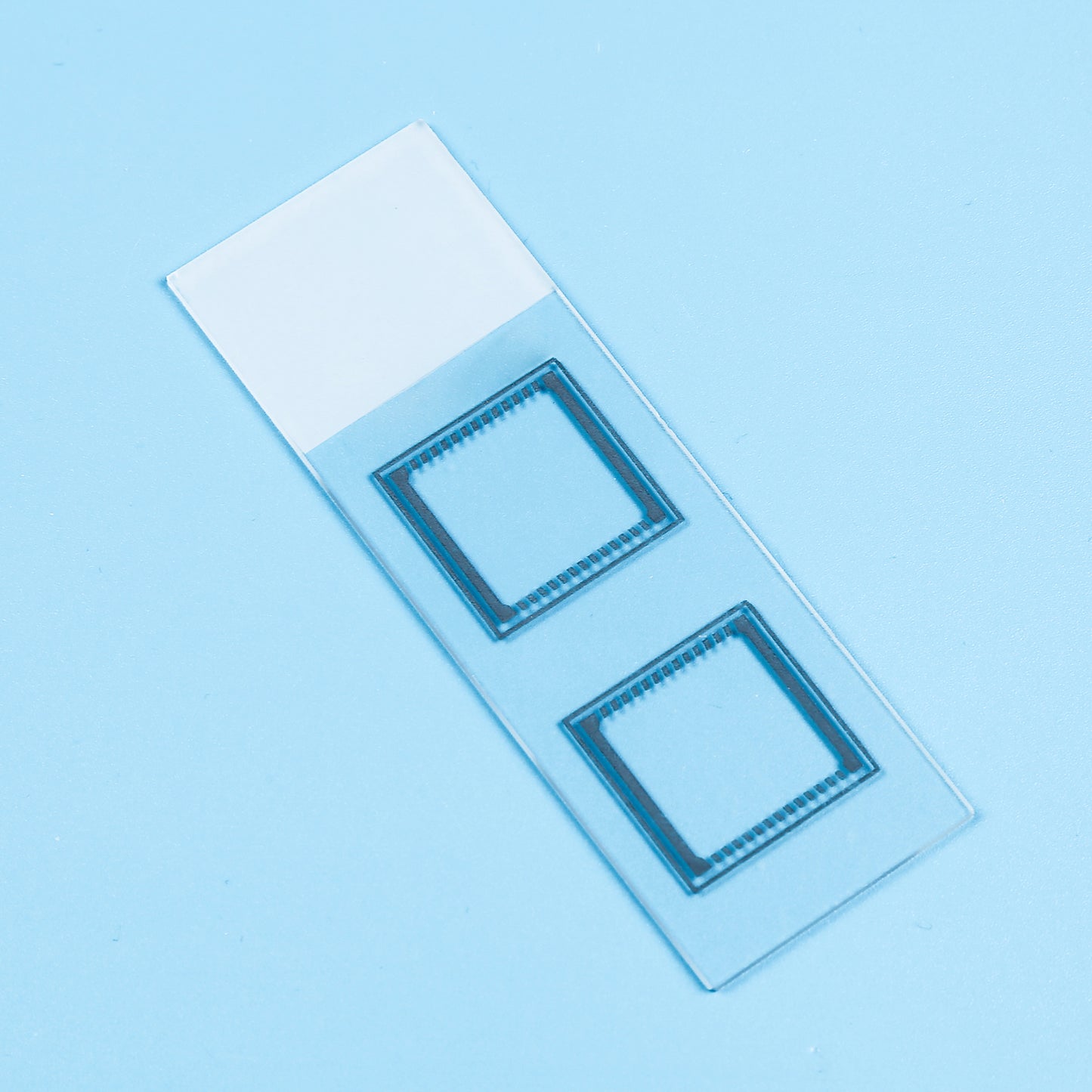 Diagnostic Slide-UW-M088-013