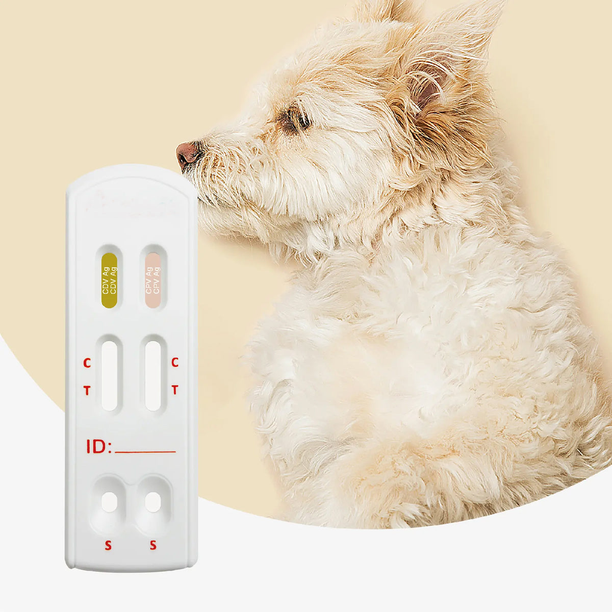 Veterinary Diagnostic Test-CDV Test